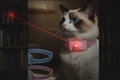 Collier Laser Automatique pour Chat — Rechargeable